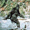 Photo: Is 'Bigfoot' roaming around Holy Hill?