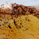 Photo: Mystery illnesses plague Louisiana oil spill crews