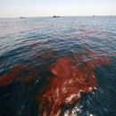 Oil slick in the Gulf of Mexico.