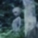 Photo: Is this creature pictured in the Amazon jungle a visitor from outer-space?