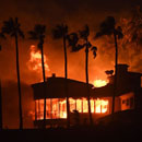 Photo: Trump Orders FEMA To Cut Off Aid For California Wildfires