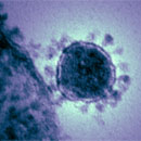 Photo: South Korea declares "war" on coronavirus as outbreak spreads rapidly and unpredictably outside of China