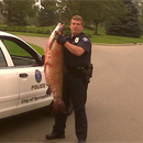 Photo: Mystery Roadkill - 5ft Carp