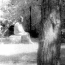 The Madonna of Bachelor's Grove