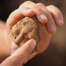 Photo: Archaeologists in Golan Heights Unearth Fort Dated to Time of Biblical King David