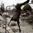 Photo: Barbara Bush: Hurricane 'working well' for refugees