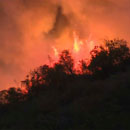Photo: Arson Suspected In Pacific Palisades Brush Fire That Continues To Burn; Mandatory Evacuations Ordered