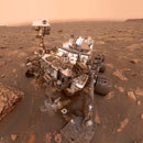 Photo: NASA Rover May Have Just Discovered Life on Mars