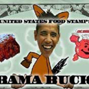 Photo: GOP mailing depicts Obama's face on food stamp
