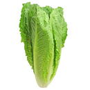 Photo: Throw It All Away: CDC Expands Warning on Romaine Lettuce