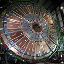 Photo: Large Hadron Collider: Damaged by a Time-Traveling Bird?