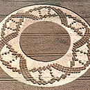 Wiltshire Crop Circle