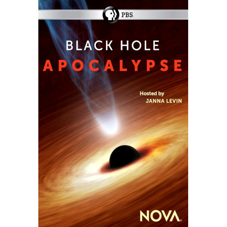Black Hole Apocalypse
